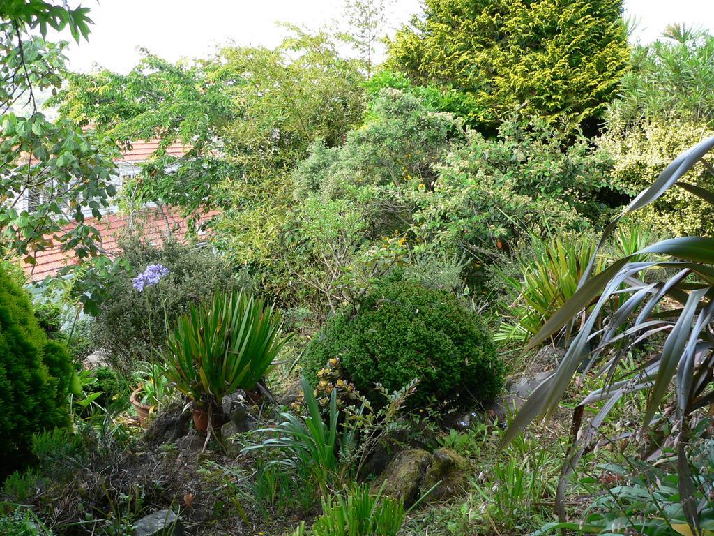 Mount Hobson Apartments Auckland Eksteriør billede