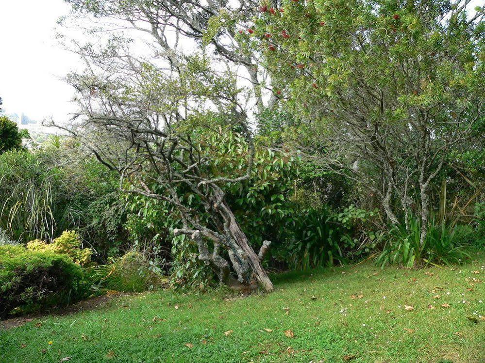 Mount Hobson Apartments Auckland Eksteriør billede