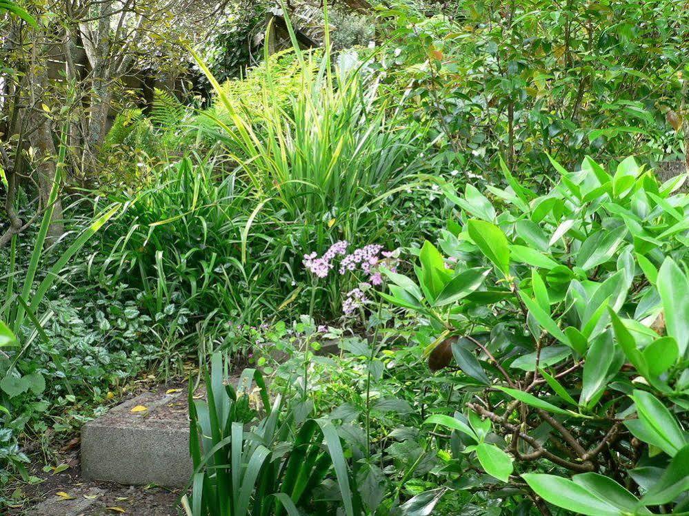 Mount Hobson Apartments Auckland Eksteriør billede